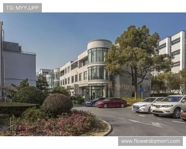 半岛开户服务升级为企业和个人提供多元化金融解决方案