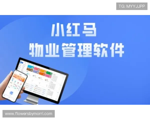 半岛体育在线官网如何利用社区互动功能增强用户粘性和交流体验