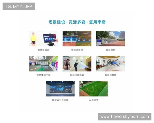 快鱼体育平台如何实现青少年体育培训的个性化与智能化管理 快鱼体育平台如何实现青少年体育培训的个性化与智能化管理