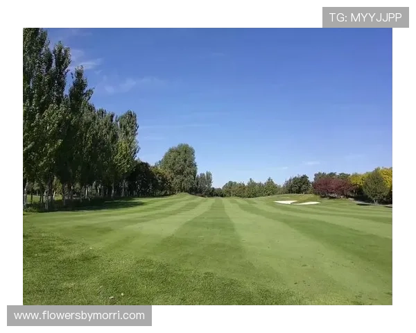 中欧体育官网打造互动社区平台促进足球迷之间的交流与分享