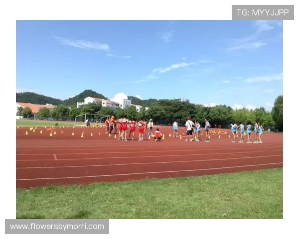 华赛体育如何通过科技创新提升青少年体育训练的科学性与趣味性