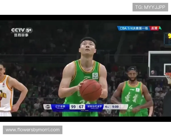 V体育国际版与其他体育直播平台的区别：优势分析与用户选择指南