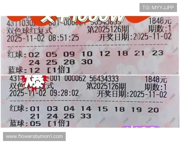 2026年最受信赖的网上买球正规平台排行榜,助你轻松实现投注梦想 2026年最受信赖的网上买球正规平台排行榜,助你轻松实现投注梦想