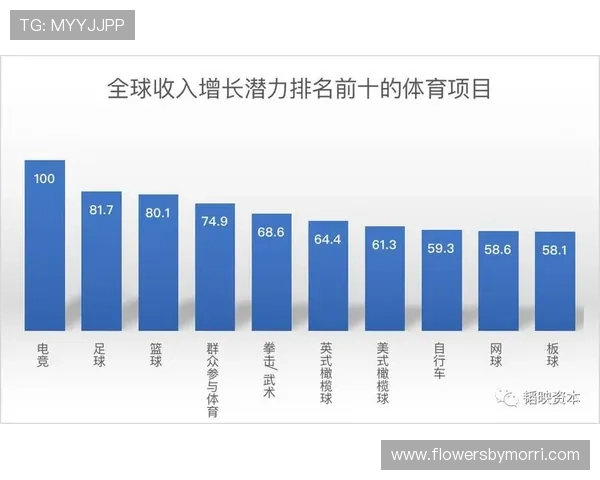 中国体育项目与电子竞技融合发展的现状与未来趋势分析 中国体育项目与电子竞技融合发展的现状与未来趋势分析