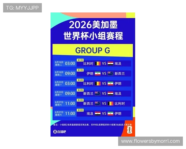 世界杯伊朗与新西兰比赛门票预订攻略，提供最新购票信息和抢票技巧分享