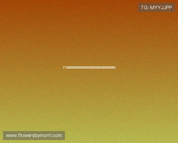 KY体育地址登录入口最新版本更新,带来更流畅的登录体验与丰富的体育内容